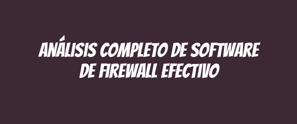 Análisis Completo de Software de Firewall Efectivo