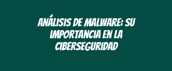 Análisis de malware: su importancia en la ciberseguridad Análisis de malware: su importancia en la ciberseguridad