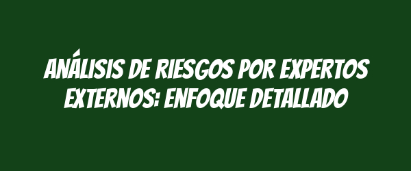 Análisis de riesgos por expertos externos: enfoque detallado Análisis de riesgos por expertos externos: enfoque detallado