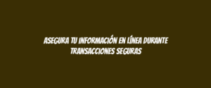 Asegura tu información en línea durante transacciones seguras