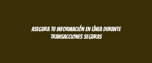 Asegura tu información en línea durante transacciones seguras