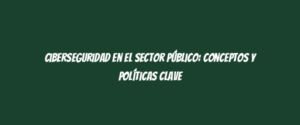 Ciberseguridad en el Sector Público: Conceptos y Políticas Clave