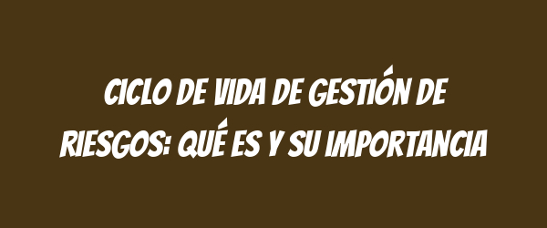 Ciclo de vida de gestión de riesgos: qué es y su importancia