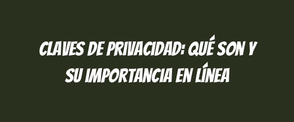 Claves de privacidad: qué son y su importancia en línea Claves de privacidad: qué son y su importancia en línea
