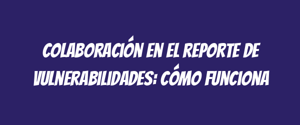 Colaboración en el reporte de vulnerabilidades: Cómo funciona