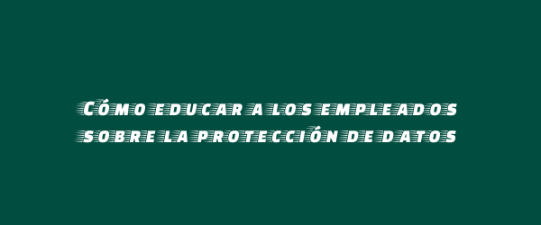 Cómo educar a los empleados sobre la protección de datos