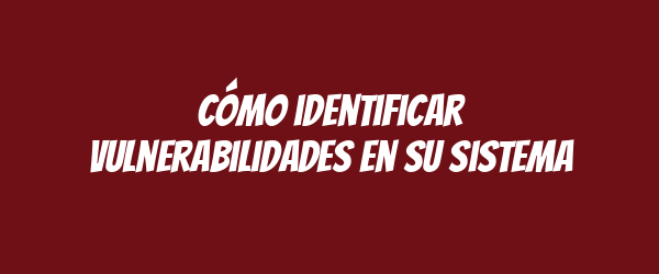Cómo identificar vulnerabilidades en su sistema