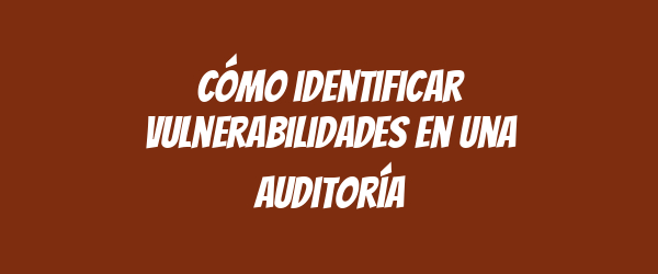 Cómo identificar vulnerabilidades en una auditoría Cómo identificar vulnerabilidades en una auditoría