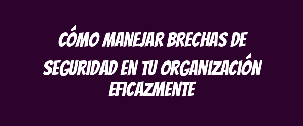 Cómo manejar brechas de seguridad en tu organización eficazmente