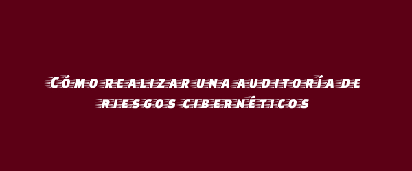 Cómo realizar una auditoría de riesgos cibernéticos Cómo realizar una auditoría de riesgos cibernéticos
