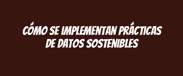 Cómo se implementan prácticas de datos sostenibles Cómo se implementan prácticas de datos sostenibles
