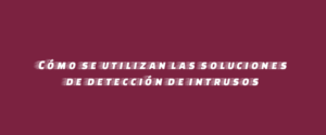 Cómo se utilizan las soluciones de detección de intrusos