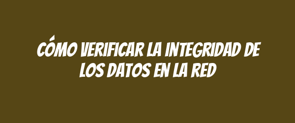Cómo verificar la integridad de los datos en la red