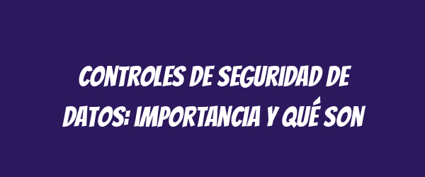 Controles de seguridad de datos: importancia y qué son Controles de seguridad de datos: importancia y qué son