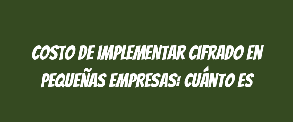 Costo de implementar cifrado en pequeñas empresas: cuánto es