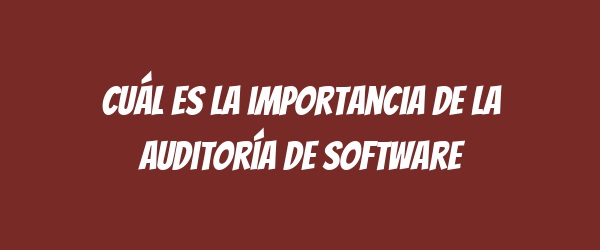 Cuál es la importancia de la auditoría de software