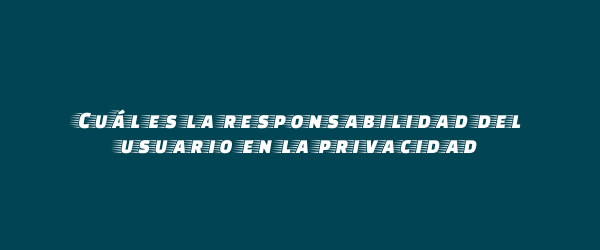 Cuál es la responsabilidad del usuario en la privacidad