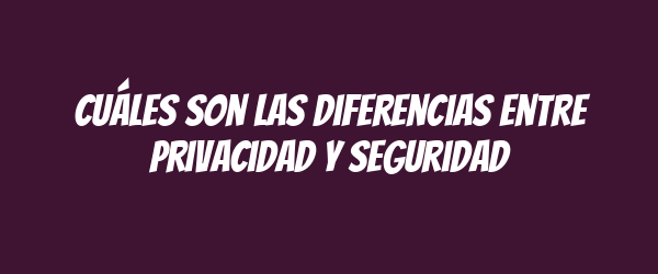 Cuáles son las diferencias entre privacidad y seguridad