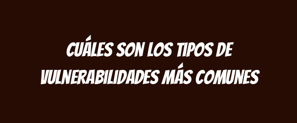Cuáles son los tipos de vulnerabilidades más comunes Cuáles son los tipos de vulnerabilidades más comunes