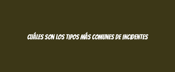 Cuáles son los tipos más comunes de incidentes Cuáles son los tipos más comunes de incidentes