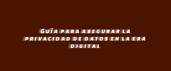 Guía para asegurar la privacidad de datos en la era digital