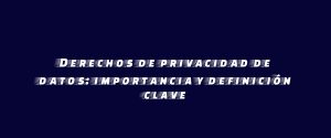 Derechos de privacidad de datos: importancia y definición clave