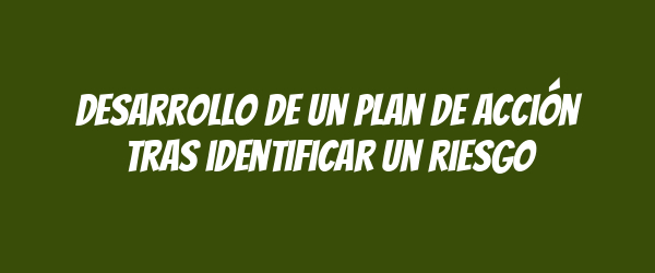 Desarrollo de un plan de acción tras identificar un riesgo