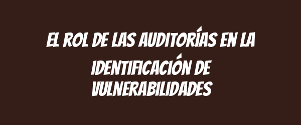 El rol de las auditorías en la identificación de vulnerabilidades El rol de las auditorías en la identificación de vulnerabilidades