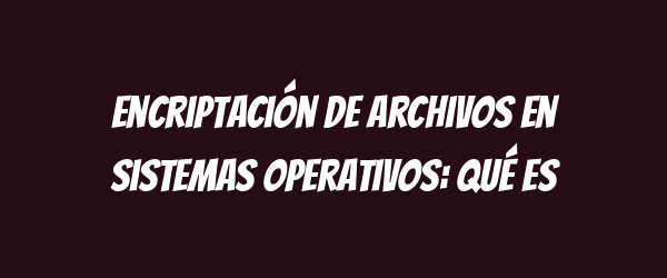 Encriptación de archivos en sistemas operativos: Qué es Encriptación de archivos en sistemas operativos: Qué es