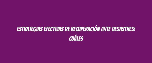 Estrategias efectivas de recuperación ante desastres: cuáles