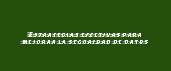 Estrategias efectivas para mejorar la seguridad de datos Estrategias efectivas para mejorar la seguridad de datos