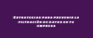 Estrategias para prevenir la filtración de datos en tu empresa