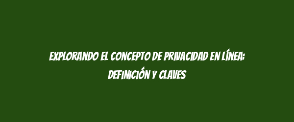 Explorando el concepto de privacidad en línea: definición y claves
