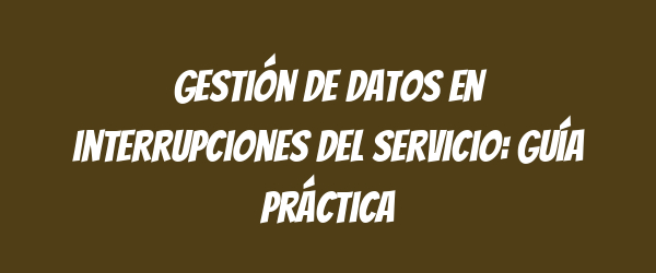 Gestión de datos en interrupciones del servicio: guía práctica Gestión de datos en interrupciones del servicio: guía práctica