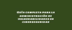 Guía completa para la administración de vulnerabilidades en ciberseguridad