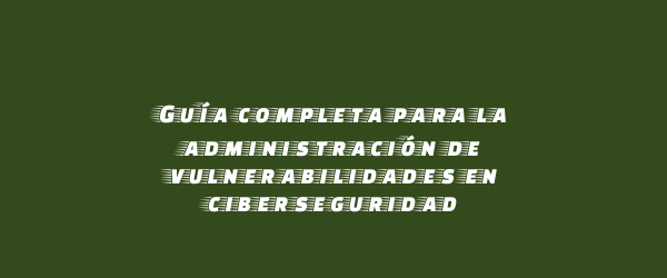 Guía completa para la administración de vulnerabilidades en ciberseguridad