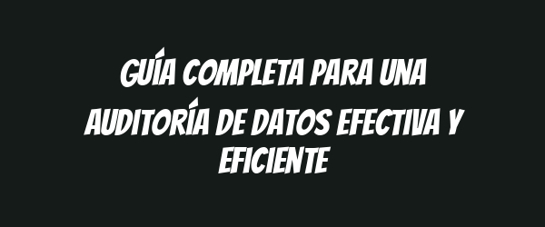 Guía completa para una auditoría de datos efectiva y eficiente