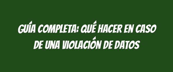 Guía completa: Qué hacer en caso de una violación de datos Guía completa: Qué hacer en caso de una violación de datos