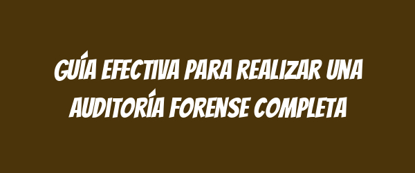 Guía efectiva para realizar una auditoría forense completa Guía efectiva para realizar una auditoría forense completa