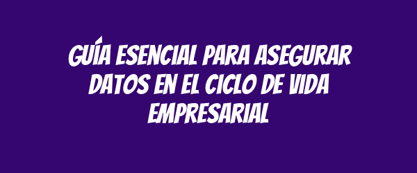 Guía esencial para asegurar datos en el ciclo de vida empresarial