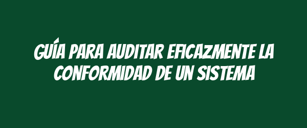 Guía para auditar eficazmente la conformidad de un sistema
