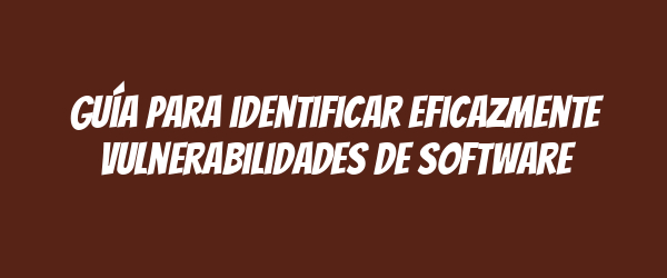 Guía para identificar eficazmente vulnerabilidades de software Guía para identificar eficazmente vulnerabilidades de software
