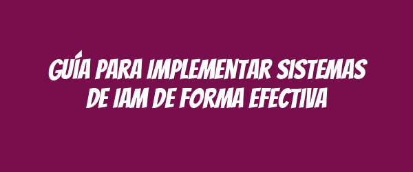 Guía para Implementar Sistemas de IAM de Forma Efectiva