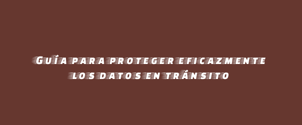 Guía para proteger eficazmente los datos en tránsito