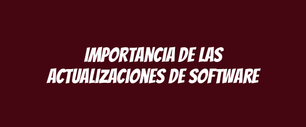 Importancia de las actualizaciones de software Importancia de las actualizaciones de software