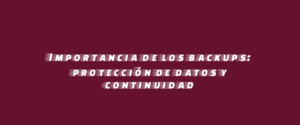 Importancia de los backups: protección de datos y continuidad
