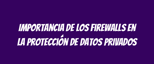 Importancia de los Firewalls en la Protección de Datos Privados Importancia de los Firewalls en la Protección de Datos Privados