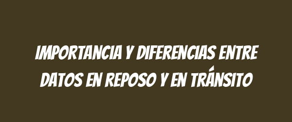 Importancia y diferencias entre datos en reposo y en tránsito