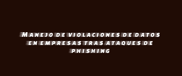 Manejo de violaciones de datos en empresas tras ataques de phishing