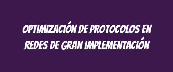 Optimización de protocolos en redes de gran implementación